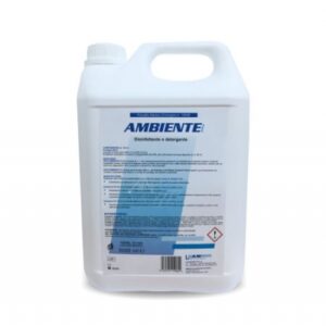 https://www.italchim.com/wp-content/uploads/2023/03/Decs-Ambiente-Plus-disinfettante-detergente-5LT-300x300.jpg